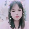 蝴蝶梦的头像