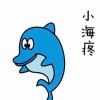 小海疼的头像
