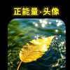 峰山峻岭的头像