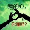 马儿飞的头像