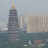随缘(退出)的头像