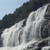 太阳～雨露的头像