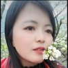 牡丹花的头像