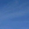 海阔天空的头像