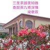 梁意双的头像