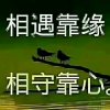 拼搏的头像