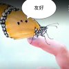 情愿糊涂的头像