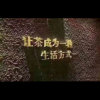 昆仑润滑油的头像