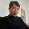 海棠的头像