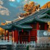 丽杰的头像