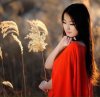 风雨人生的头像