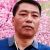 我老黑了的头像
