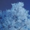 雪花小号的头像