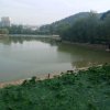 丑小鸭的头像