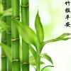 幸福平安的头像