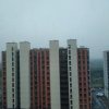 阳的头像