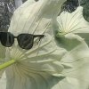 村口督使的头像