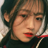 菁黎的头像
