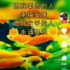 人生如梦（忙退出）的头像
