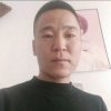 憨尼猪的头像