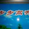 天天好心情的头像