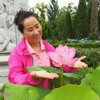 白牡丹的头像