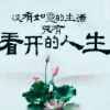 随缘的头像