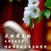 快乐的鱼的头像