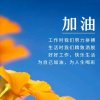 江山如画的头像