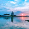 天籁知音的头像