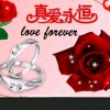 斌哥的头像