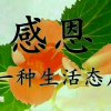 悟空的头像