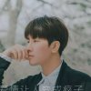 一醉忘情(退出)的头像