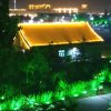 小虎的头像