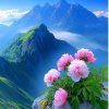 安静的头像