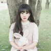 李芳的头像