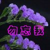 旭日东升的头像