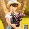 人在曹营心在汉的头像