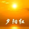 浪漫夕阳的头像