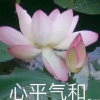 ：-D的头像