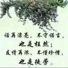 玫瑰的头像