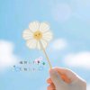 红雨的头像