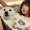 本鱼的头像