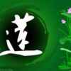 阿莲的头像