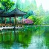顺其自然浩韵的头像