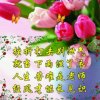 好运连连的头像