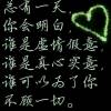 老七的头像