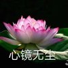 心镜无尘的头像