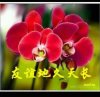 天福的头像