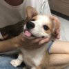 YimLiu的头像